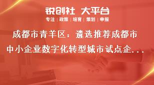 成都市青羊區(qū)：遴選推薦成都市中小企業(yè)數(shù)字化轉(zhuǎn)型城市試點(diǎn)企業(yè)（第二批）聯(lián)系方式獎補(bǔ)政策