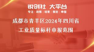 成都市青羊區(qū)2024年四川省工業(yè)質(zhì)量標桿申報范圍獎補政策