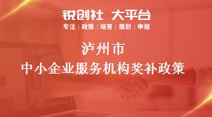 瀘州市中小企業服務機構相關配套獎補政策