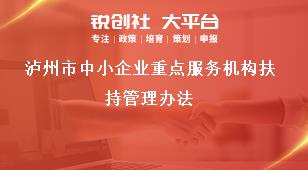 瀘州市中小企業重點服務機構扶持管理辦法獎補政策