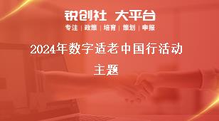 2024年數字適老中國行活動主題獎補政策