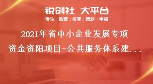 2021年省中小企業(yè)發(fā)展專項資金資陽項目-公共服務(wù)體系建設(shè)申報條件獎補(bǔ)政策