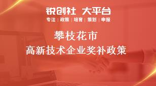 攀枝花市高新技術(shù)企業(yè)相關(guān)配套獎補(bǔ)政策