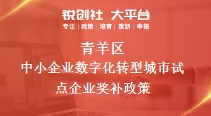 青羊區(qū)中小企業(yè)數(shù)字化轉(zhuǎn)型城市試點(diǎn)企業(yè)相關(guān)配套獎補(bǔ)政策