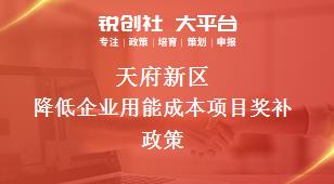 天府新區(qū)降低企業(yè)用能成本項目相關配套獎補政策