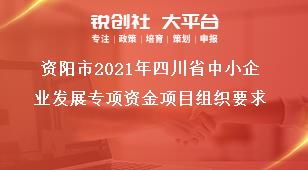 資陽市2021年四川省中小企業(yè)發(fā)展專項(xiàng)資金項(xiàng)目組織要求獎(jiǎng)補(bǔ)政策